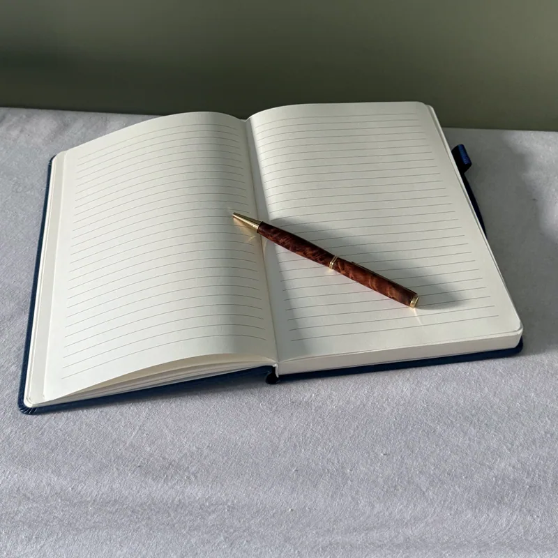 Ballpoint Pen on an open notebook