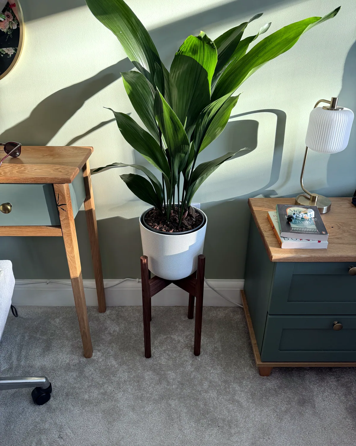 Plant Stand, main view
