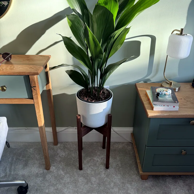 Plant Stand, with a pot in it